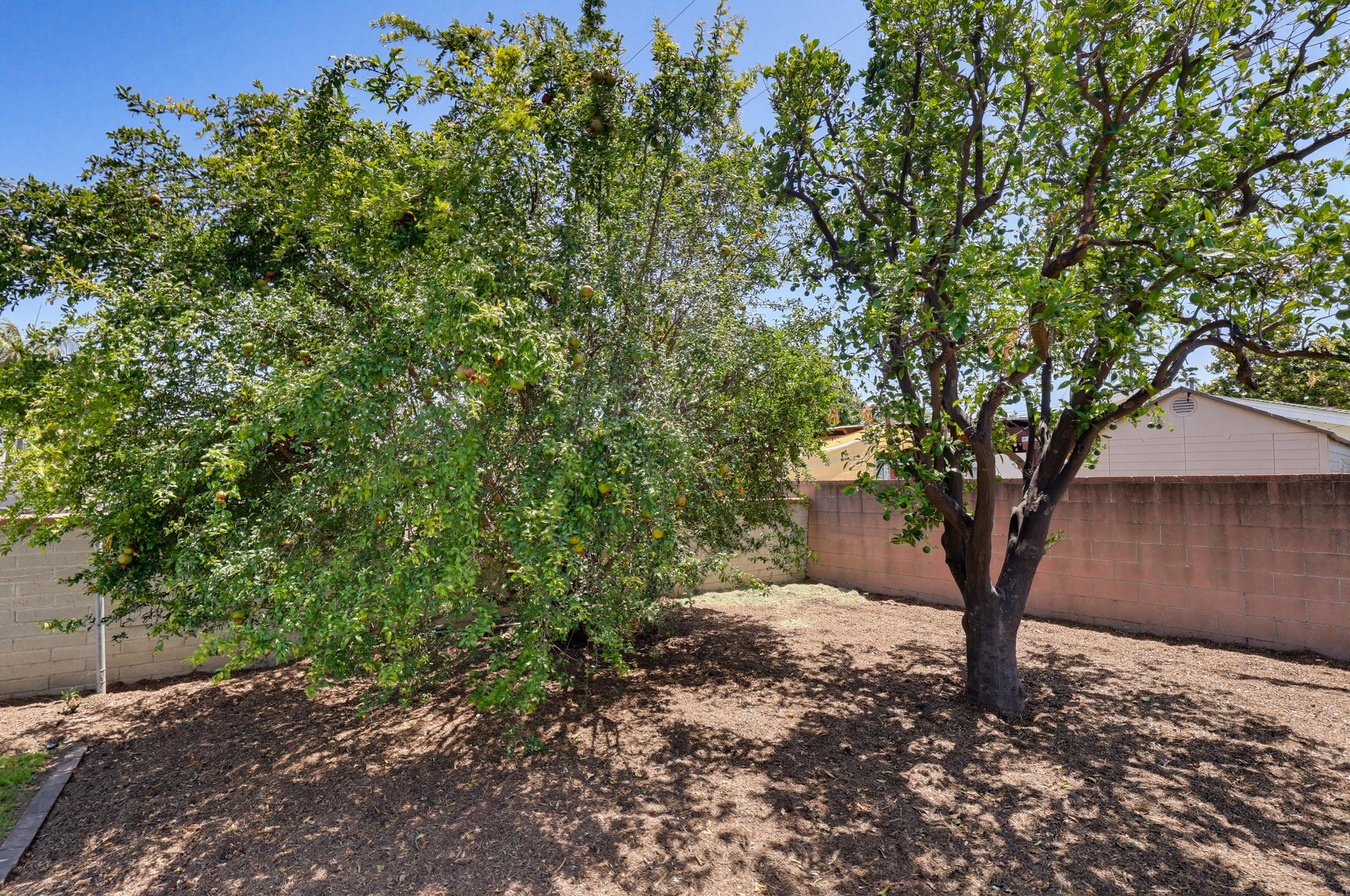 Virtual tour photo 57 of 70 for 11100 Allerton St