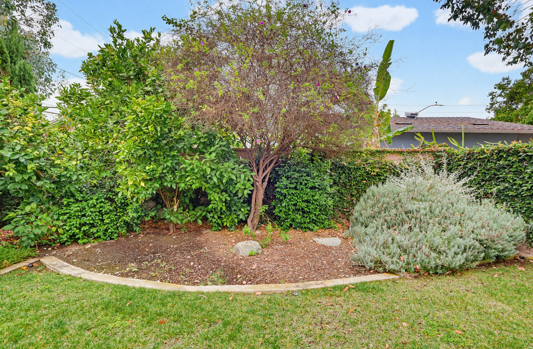 Virtual tour photo 108 of 110 for 1115 W Briarcroft Rd