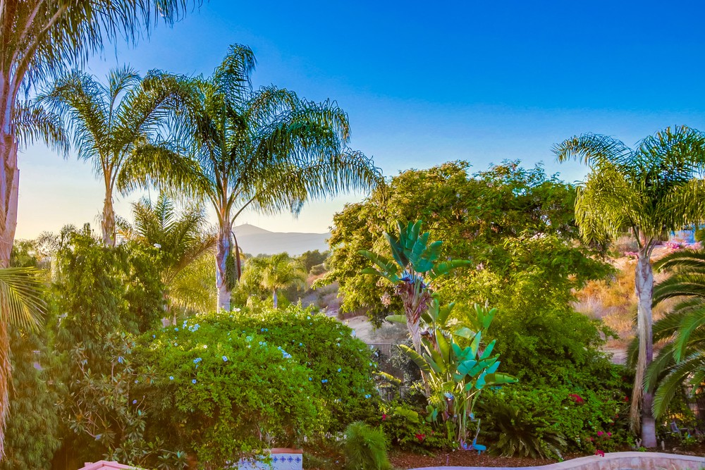 Virtual tour photo 78 of 77 for 11218 Walking Fern Cove