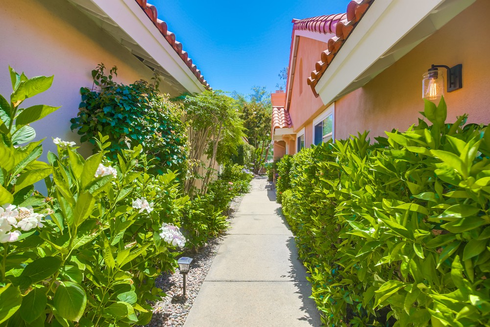 Virtual tour photo 6 of 61 for 11242 Caminito Corriente
