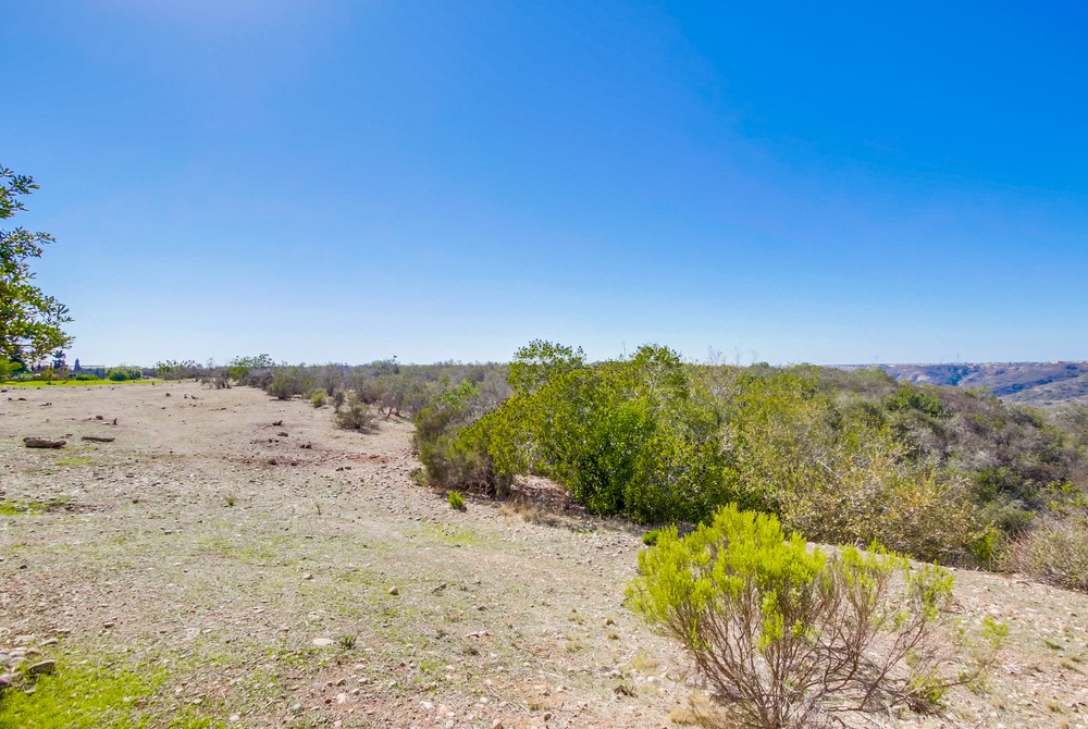 Virtual tour photo 50 of 50 for 11254 Caminito Aclara