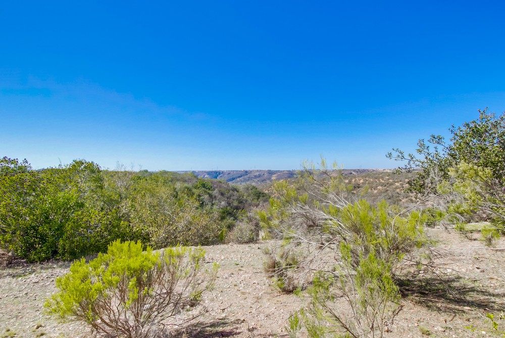Virtual tour photo 51 of 50 for 11254 Caminito Aclara