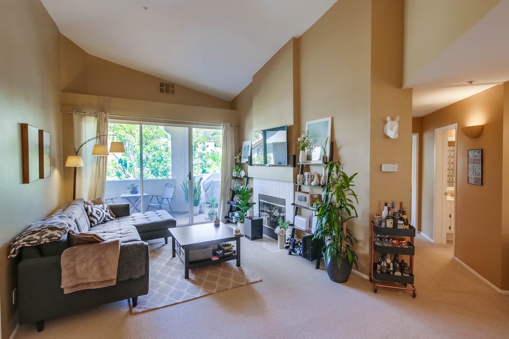 Virtual tour photo 3 of 32 for 11255 Affinity Ct UNIT 100