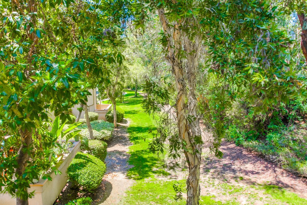 Virtual tour photo 34 of 40 for 11259 Avenida De Los Lobos