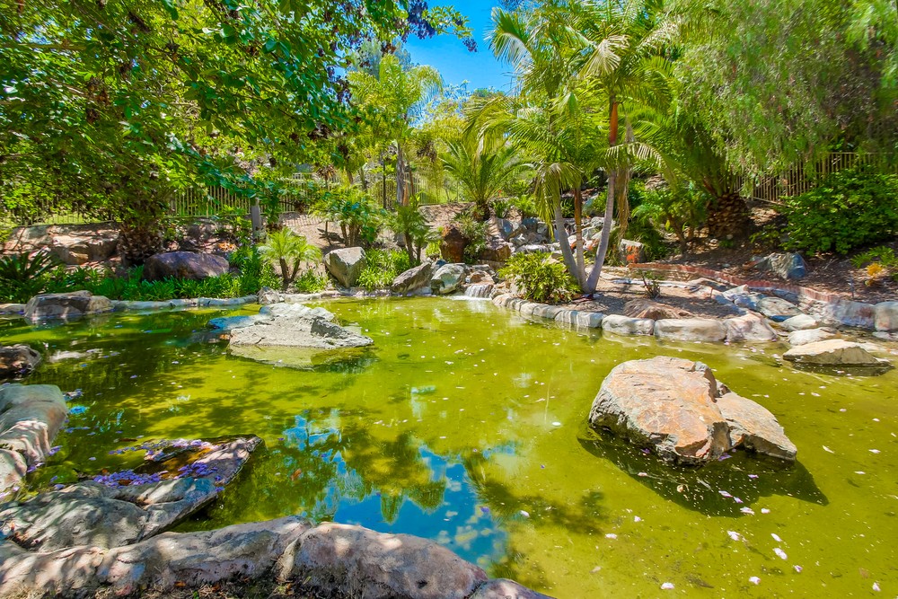 Virtual tour photo 39 of 40 for 11259 Avenida De Los Lobos