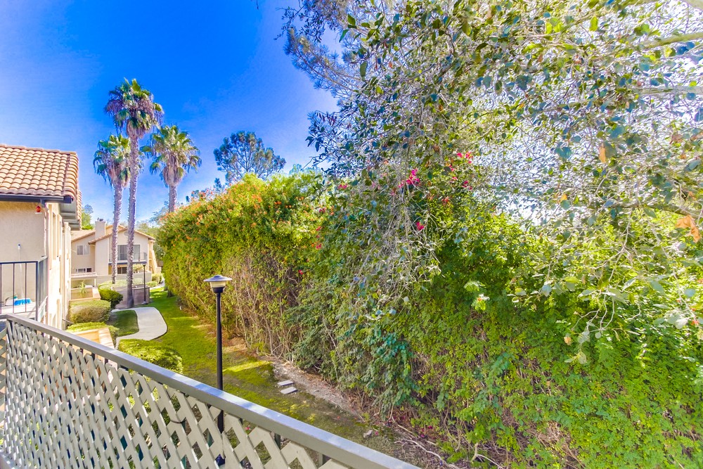 Virtual tour photo 21 of 48 for 11313 Avenida De Los Lobos g
