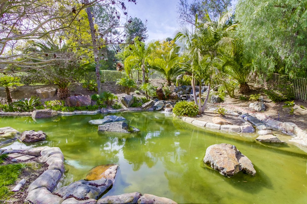 Virtual tour photo 26 of 25 for 11333 Avenida De Los Lobos g