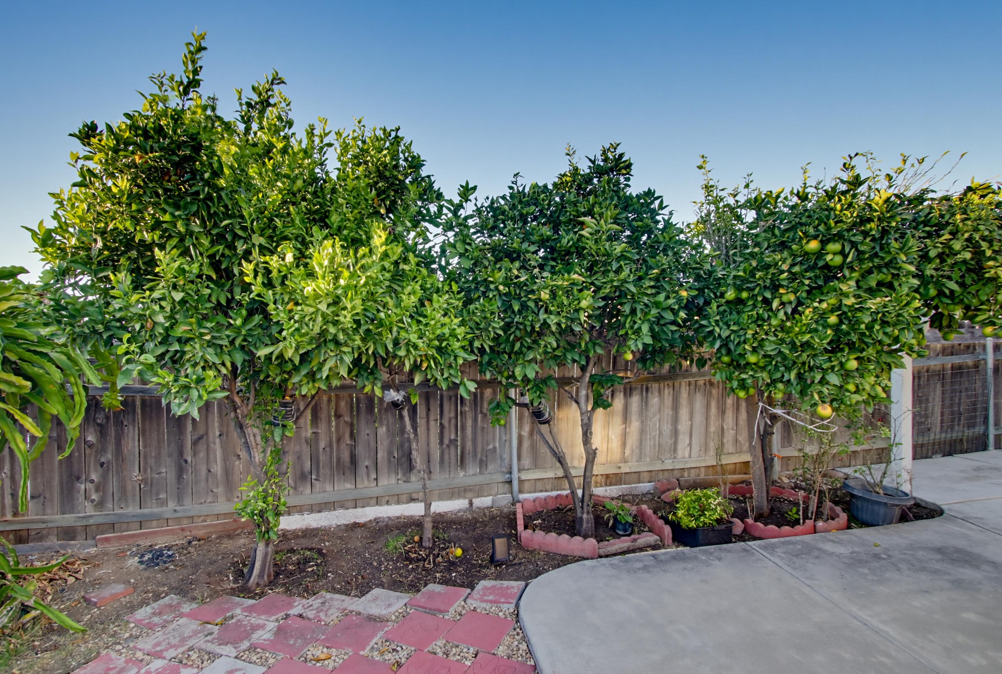 Virtual tour photo 47 of 48 for 11342 Calle Dario