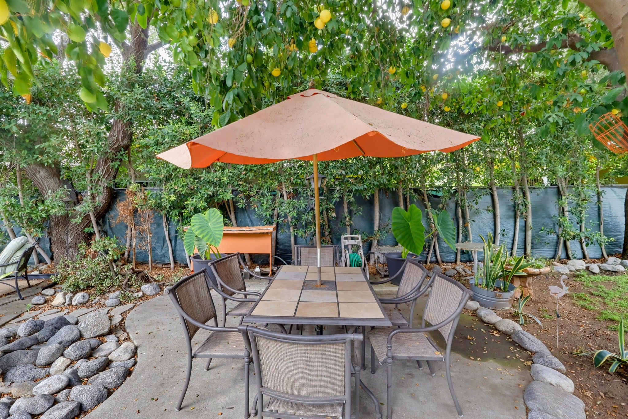 Virtual tour photo 70 of 84 for 114 W Montana St