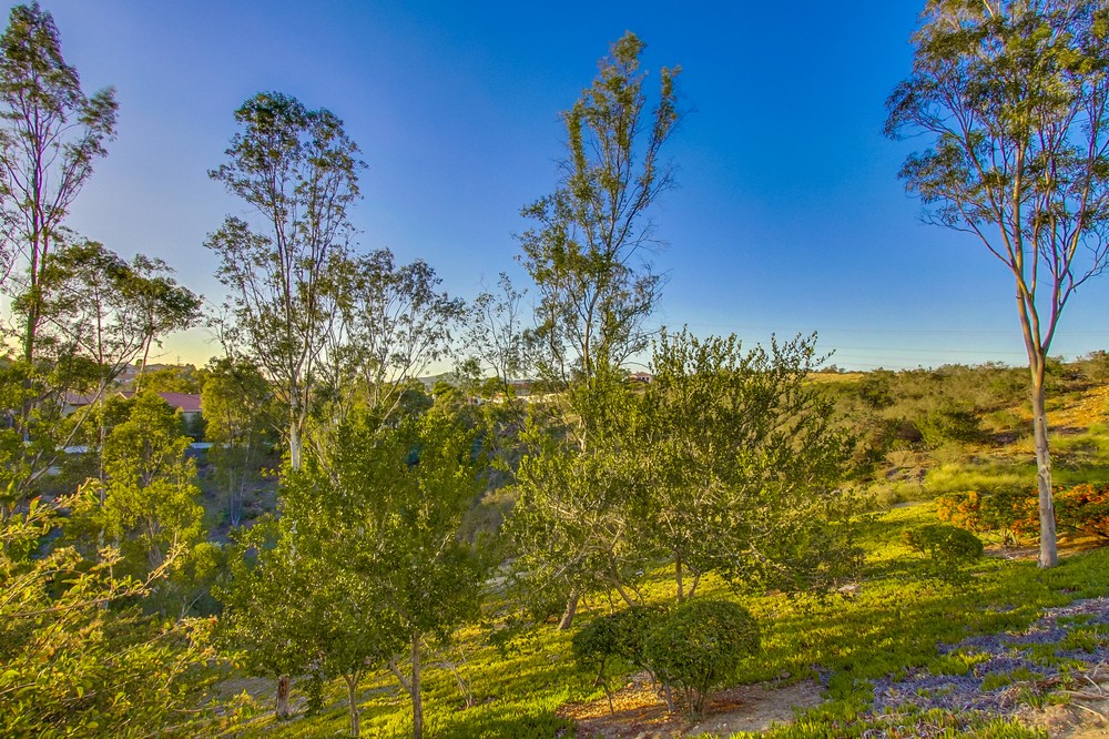 Virtual tour photo 64 of 65 for 11470 Cypress Terrace Pl