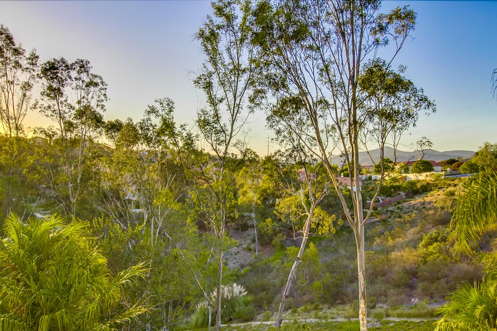 Virtual tour photo 65 of 65 for 11470 Cypress Terrace Pl