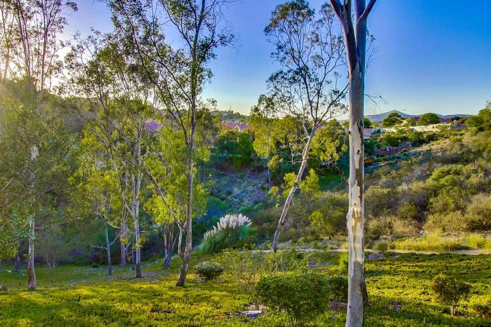 Virtual tour photo 66 of 65 for 11470 Cypress Terrace Pl
