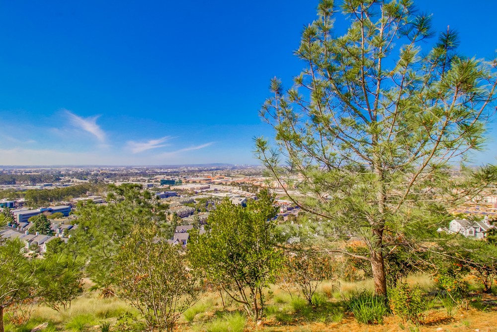 Virtual tour photo 43 of 43 for 11547 Miro Cir