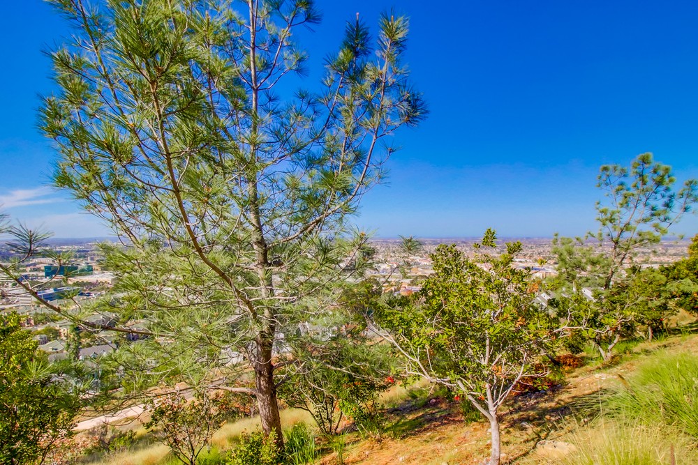Virtual tour photo 44 of 43 for 11547 Miro Cir