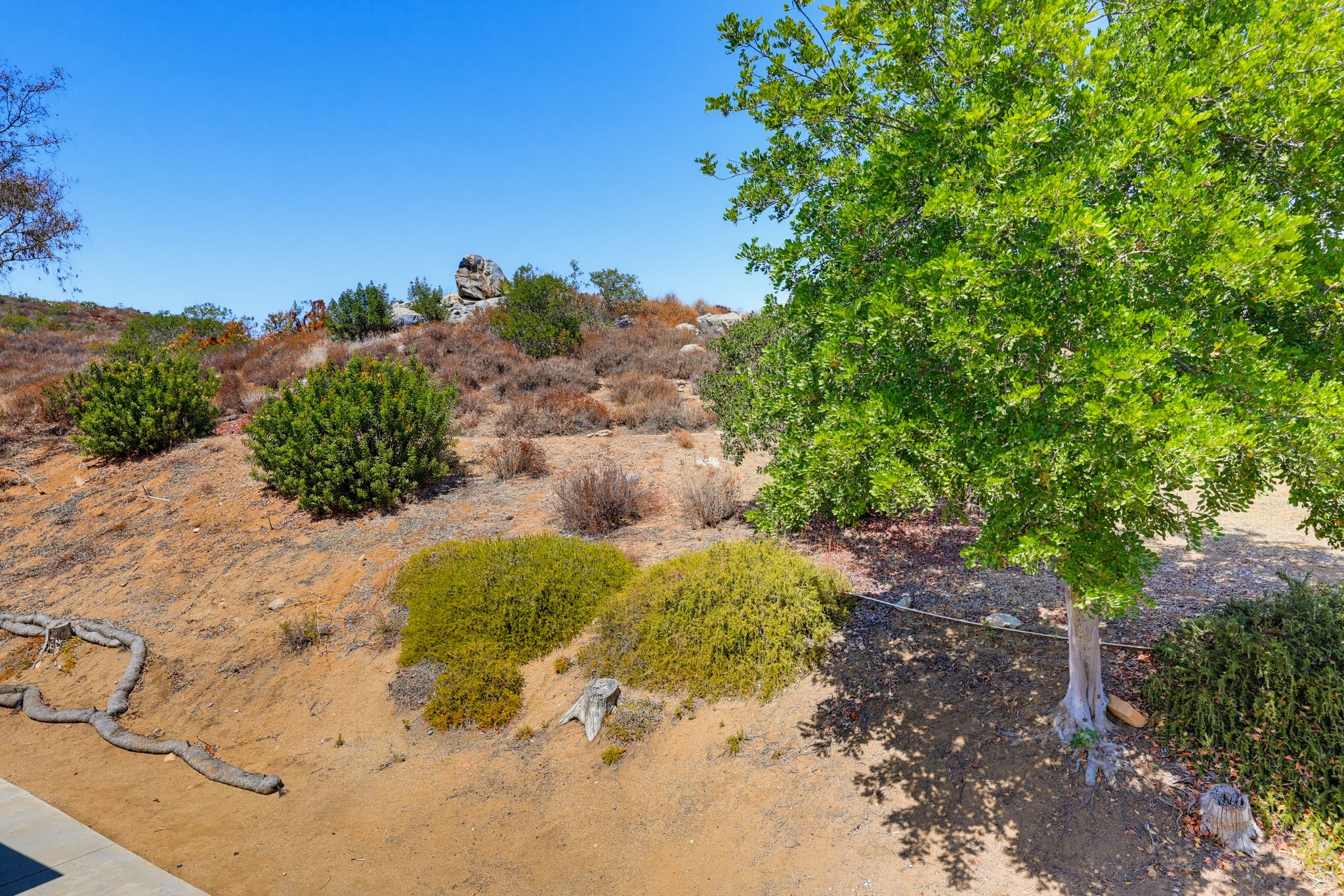 Virtual tour photo 38 of 49 for 11586 Fury Ln Unit 132