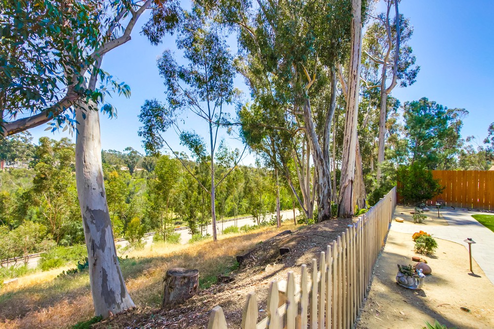 Virtual tour photo 69 of 69 for 11613 La Colina Rd