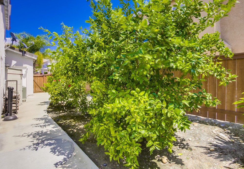 Virtual tour photo 40 of 48 for 11630 Cohansey Rd