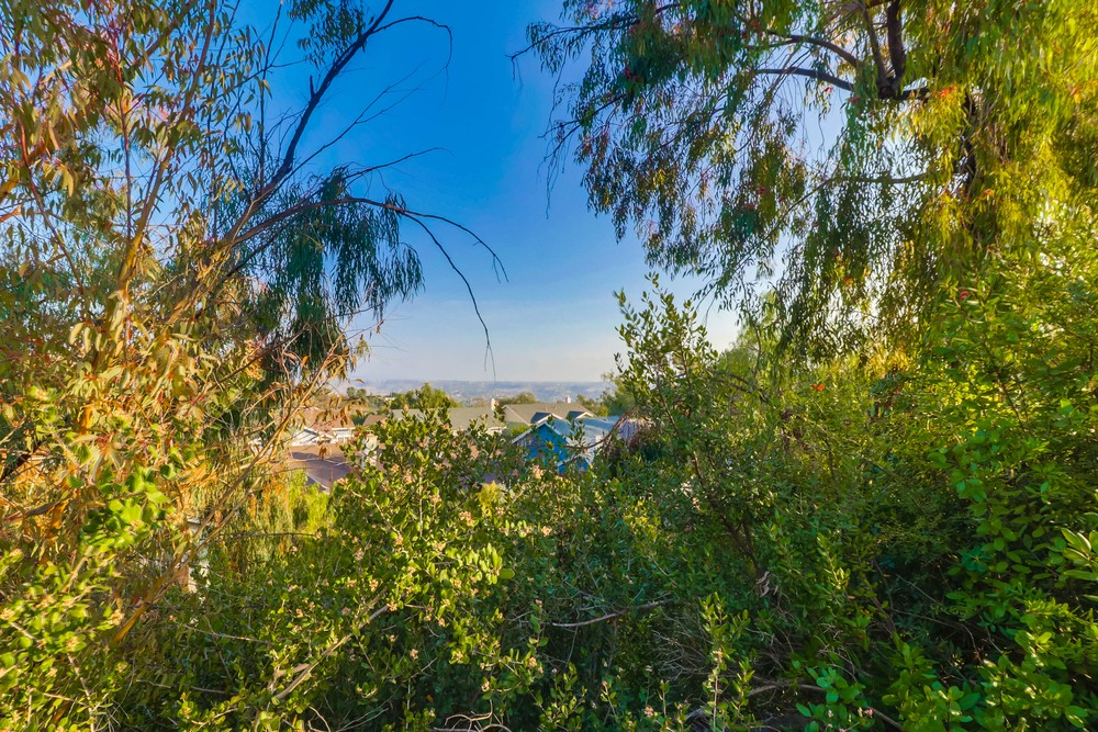 Virtual tour photo 57 of 56 for 1165 Manzana Way