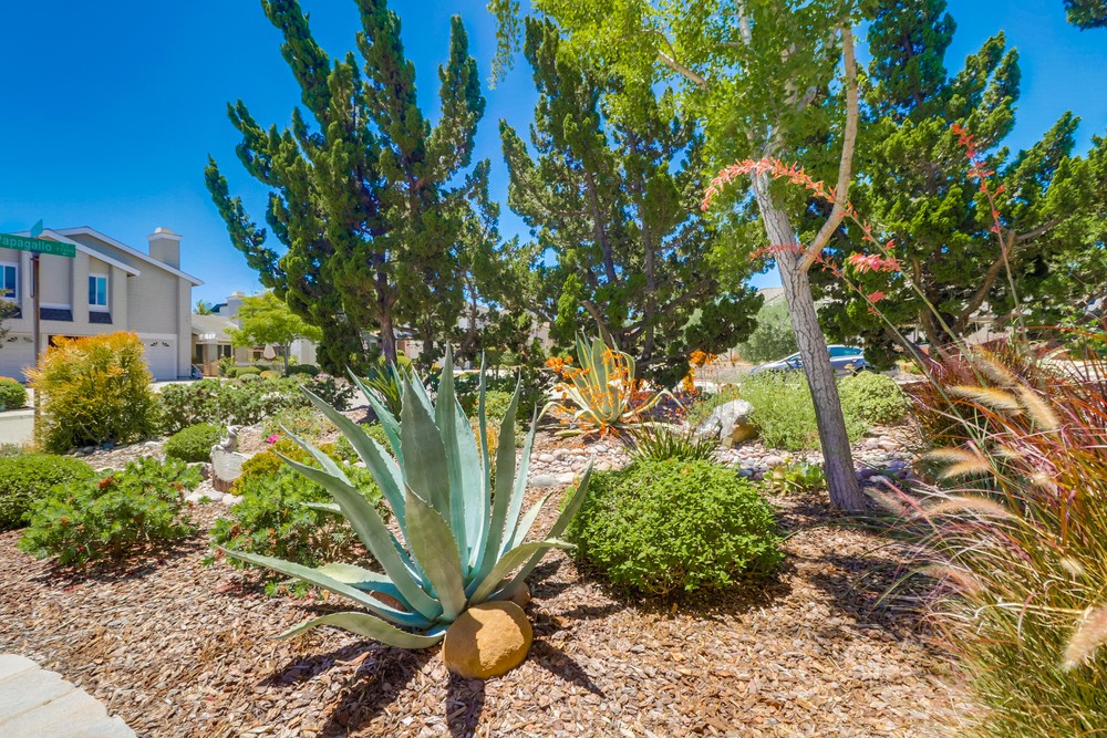 Virtual tour photo 10 of 27 for 11666 Papagallo Ct