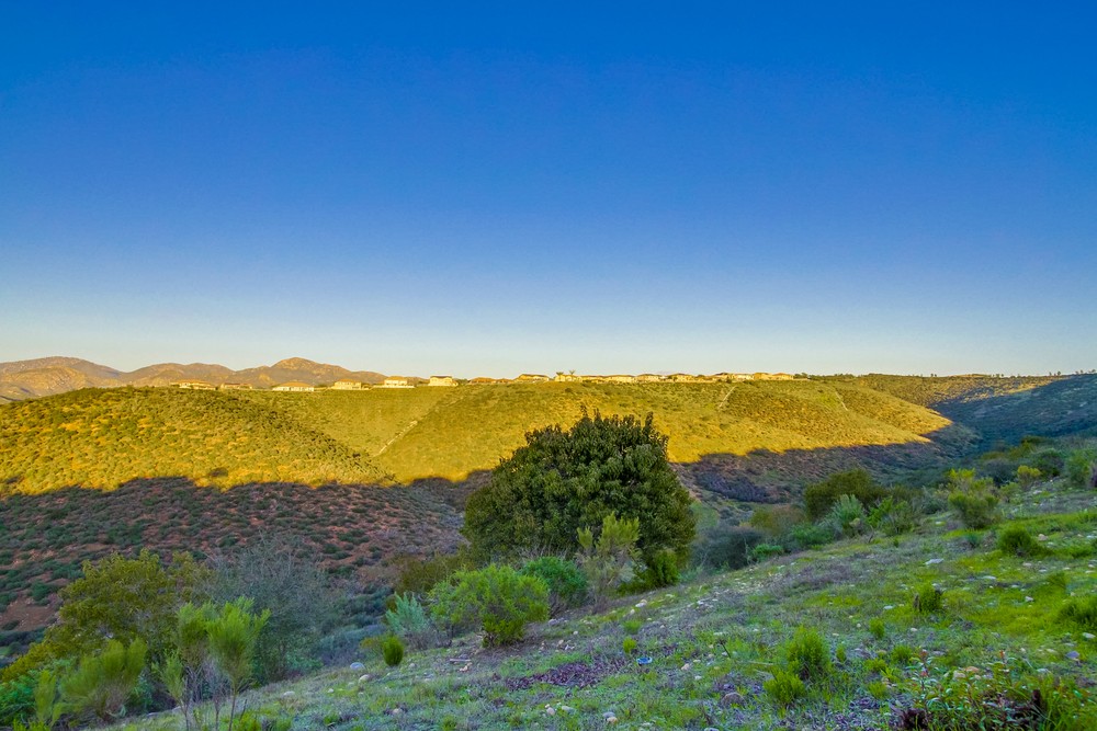 Virtual tour photo 80 of 88 for 11685 Big Canyon Ln