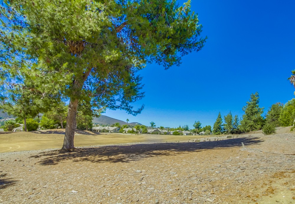 Virtual tour photo 60 of 59 for 11707 Windcrest Ln