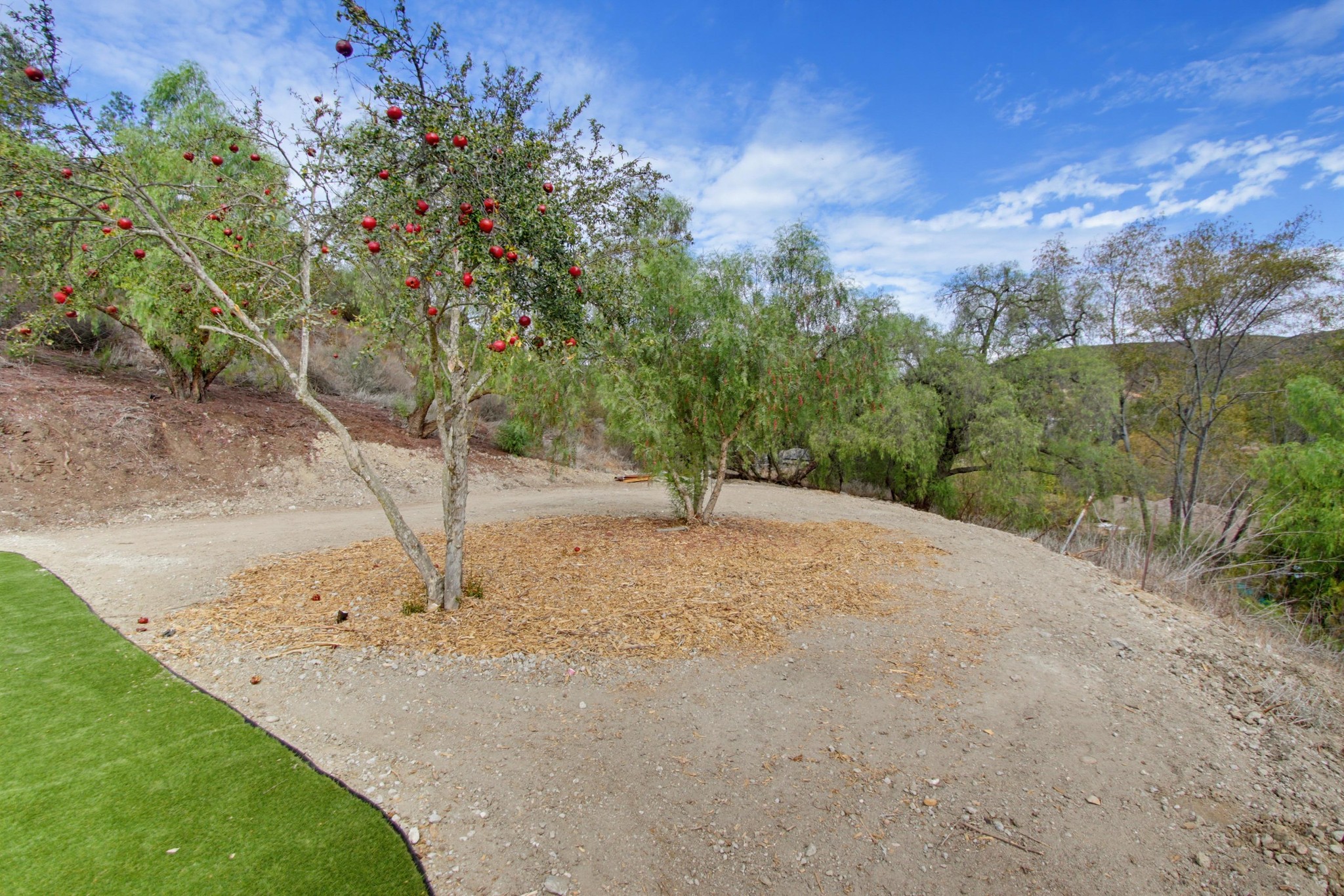 Virtual tour photo 54 of 67 for 11710 Oak Creek Dr