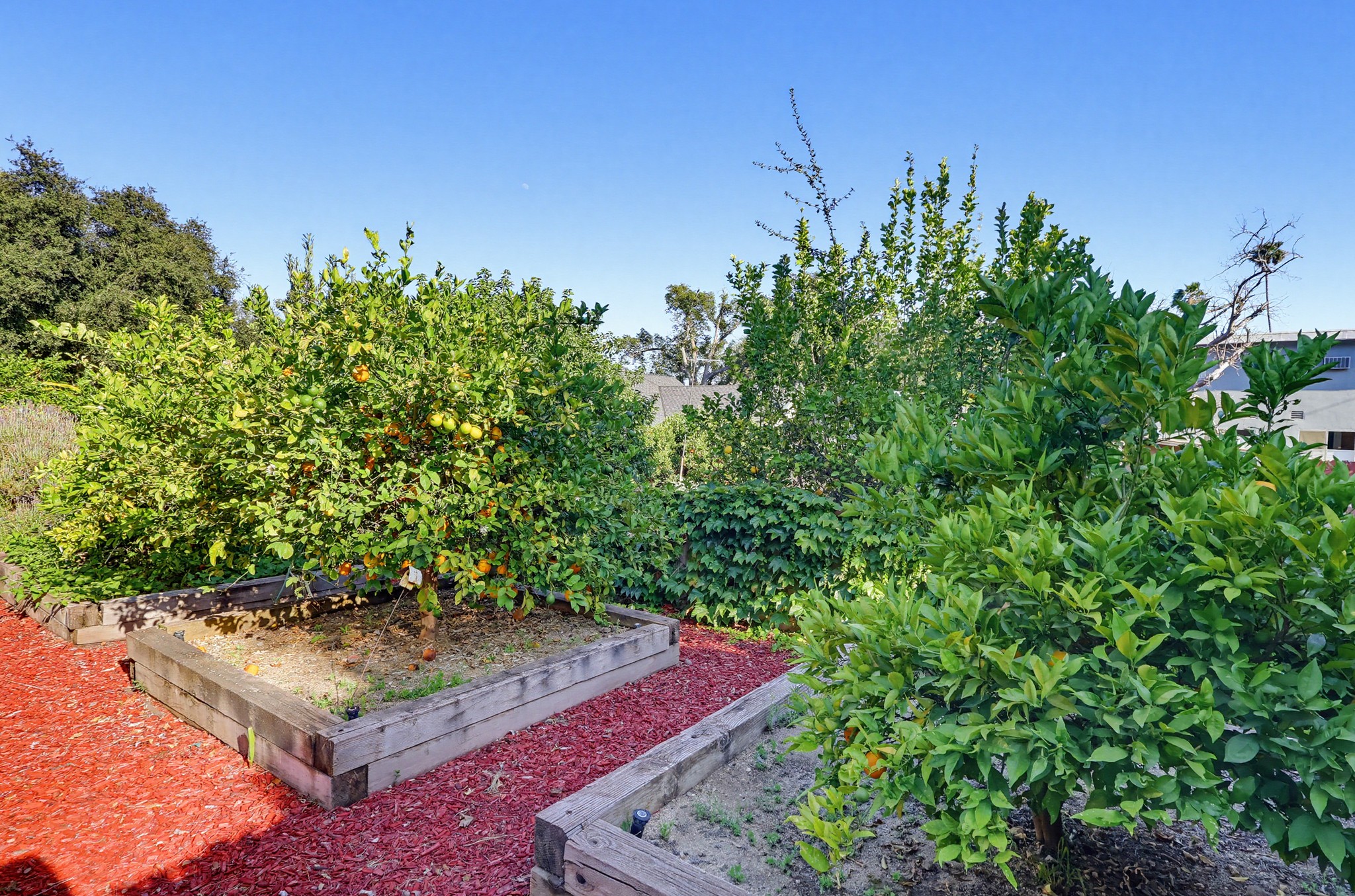 Virtual tour photo 117 of 140 for 118 E Sierra Madre Blvd