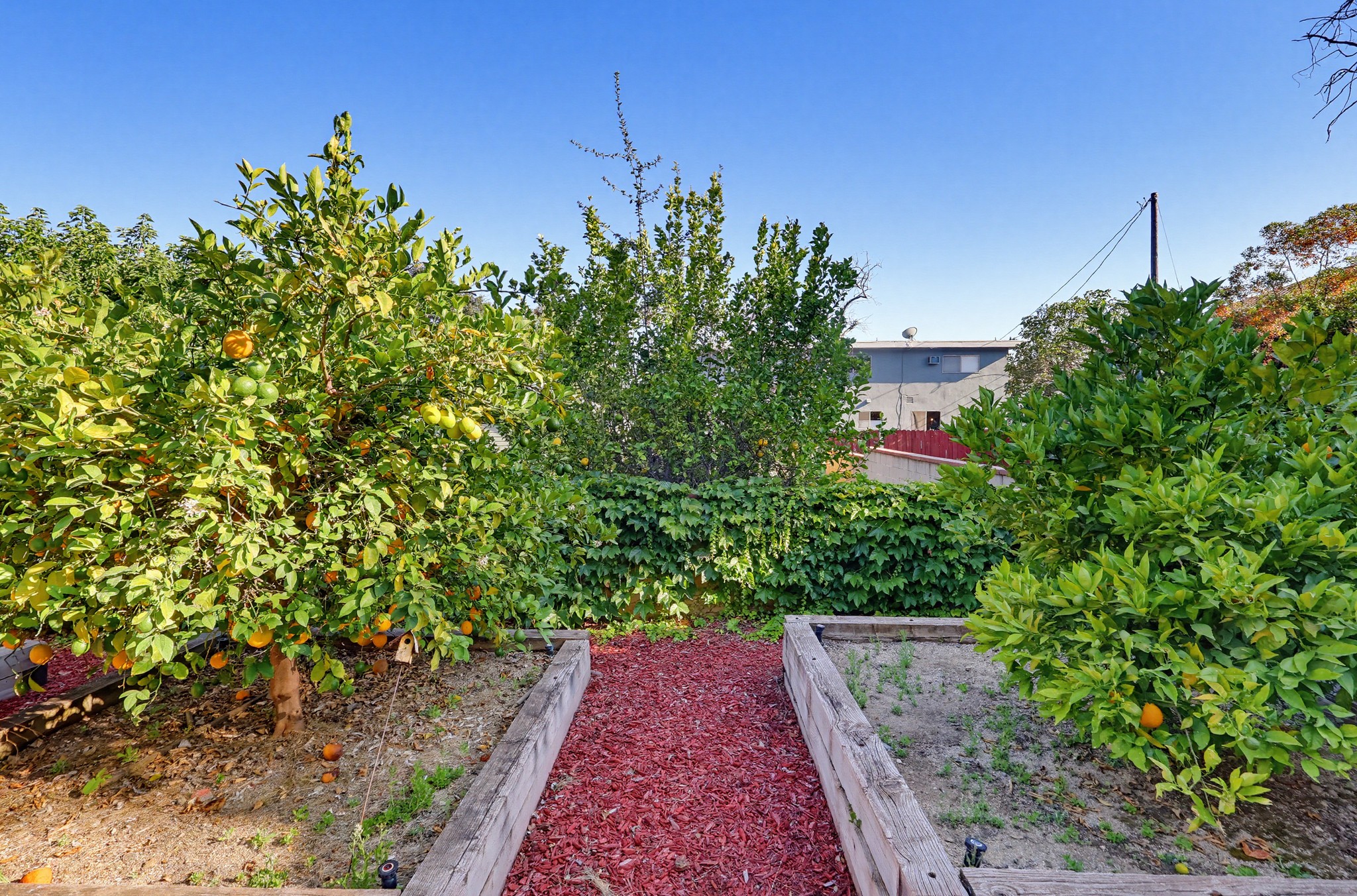 Virtual tour photo 118 of 140 for 118 E Sierra Madre Blvd