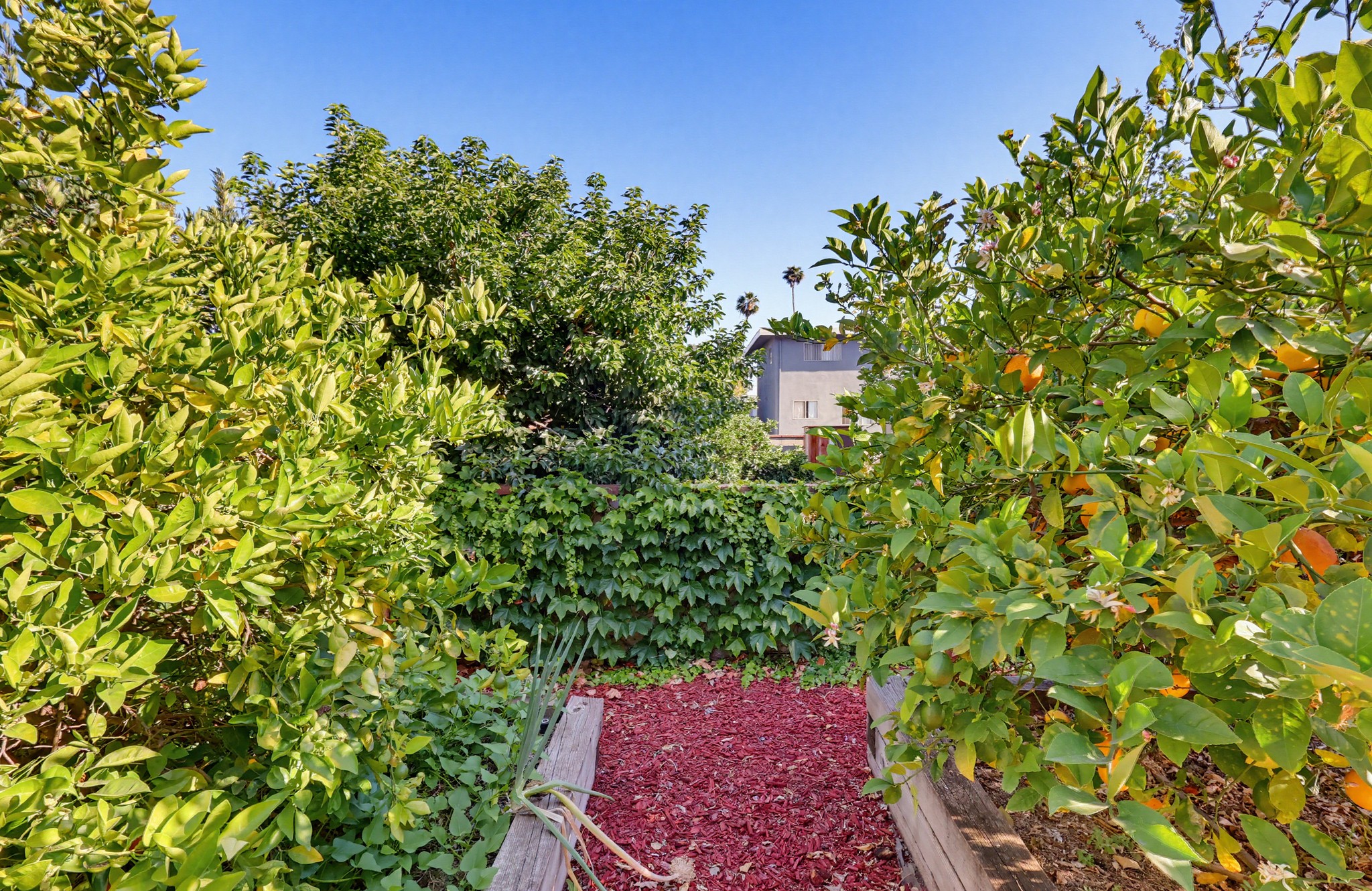 Virtual tour photo 119 of 140 for 118 E Sierra Madre Blvd