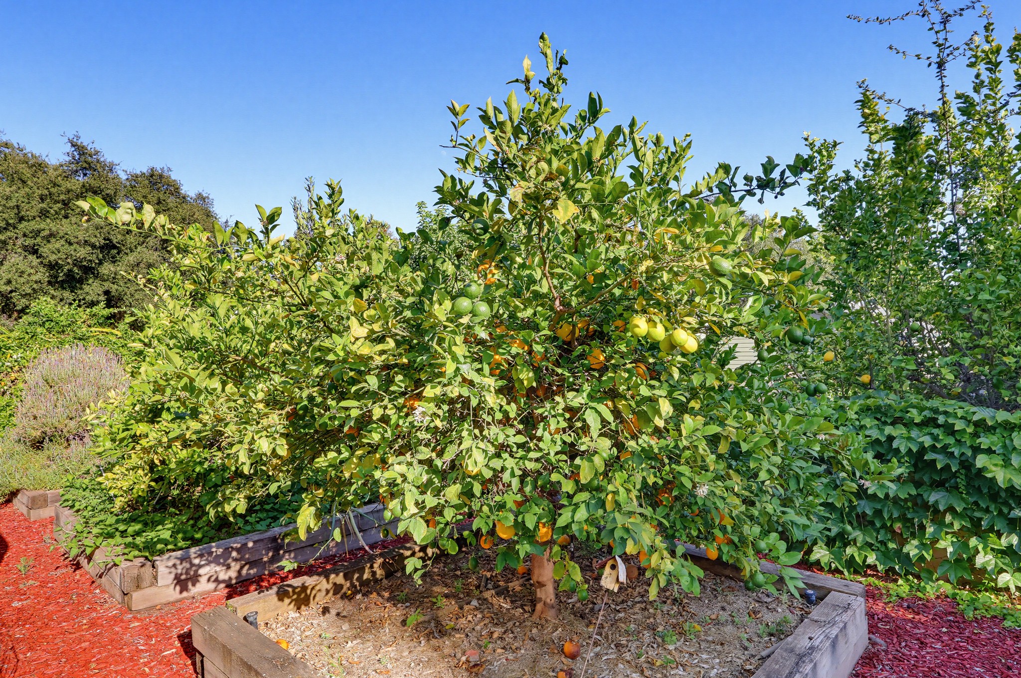 Virtual tour photo 120 of 140 for 118 E Sierra Madre Blvd