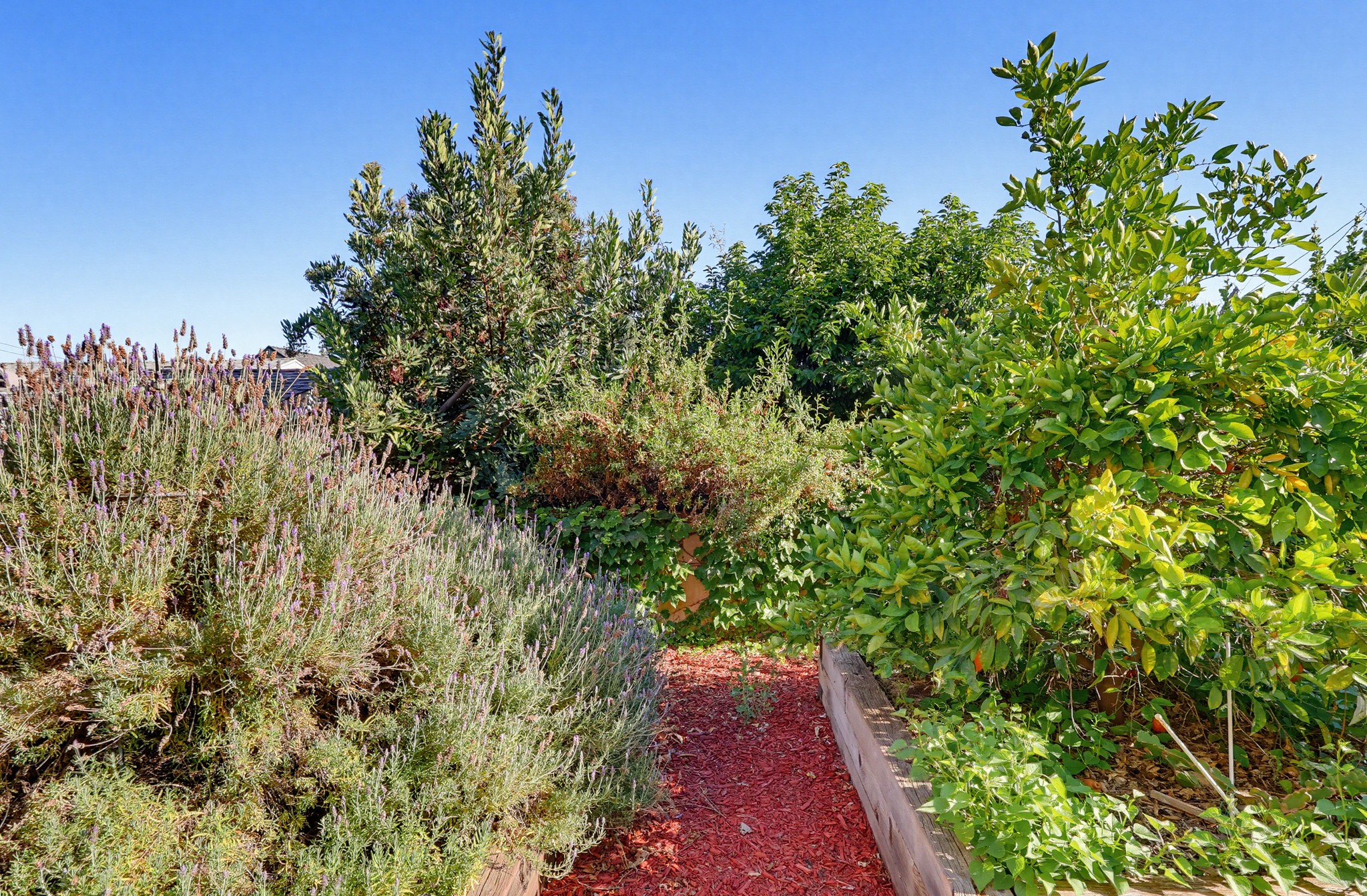 Virtual tour photo 121 of 140 for 118 E Sierra Madre Blvd
