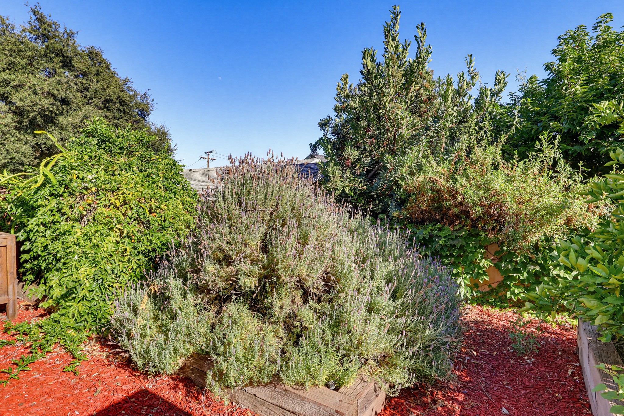 Virtual tour photo 122 of 140 for 118 E Sierra Madre Blvd