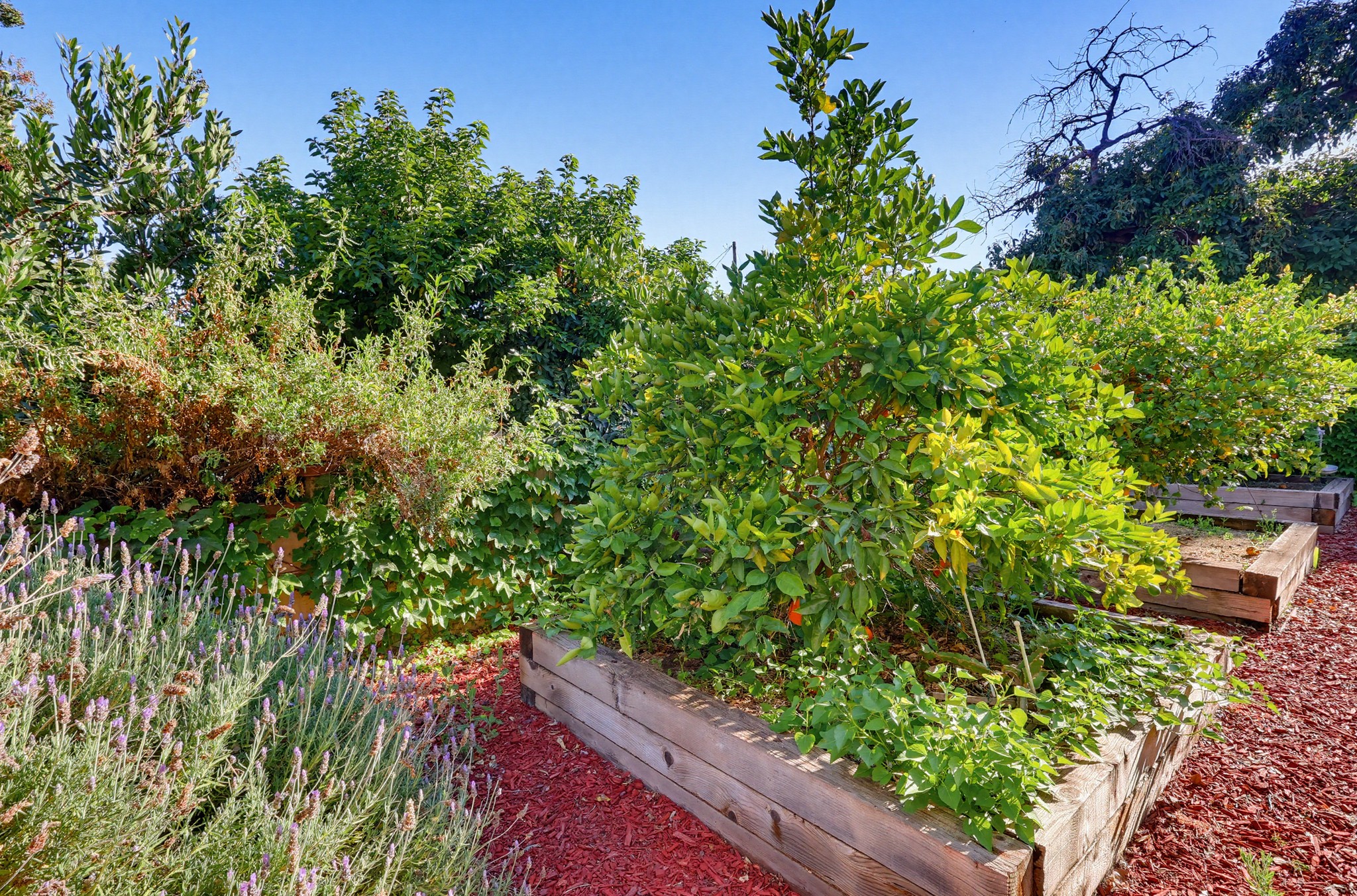Virtual tour photo 123 of 140 for 118 E Sierra Madre Blvd