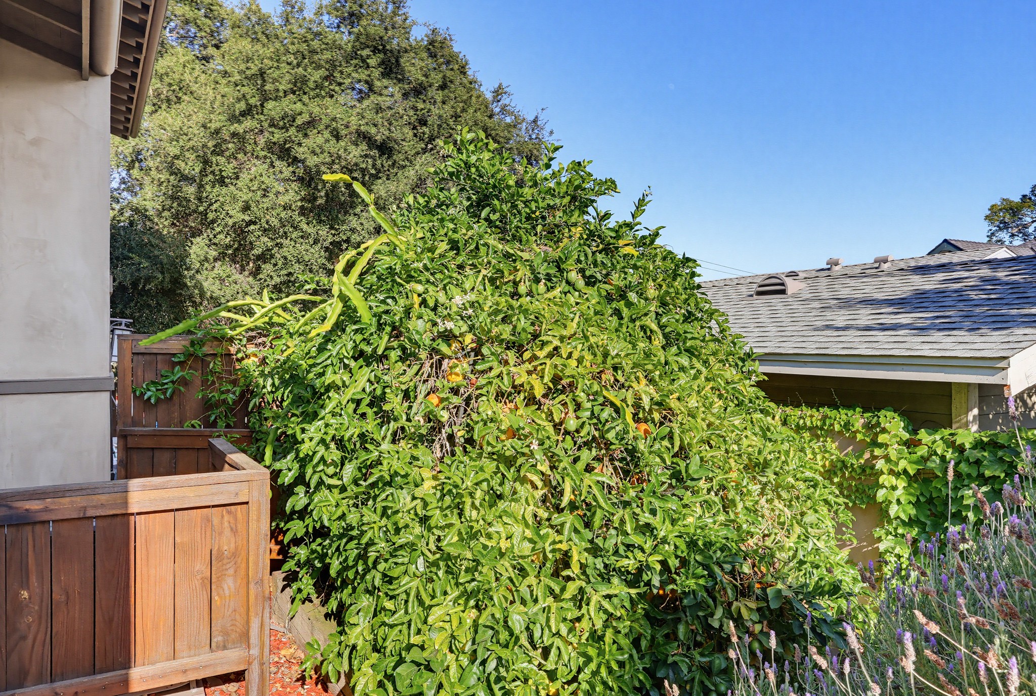 Virtual tour photo 124 of 140 for 118 E Sierra Madre Blvd