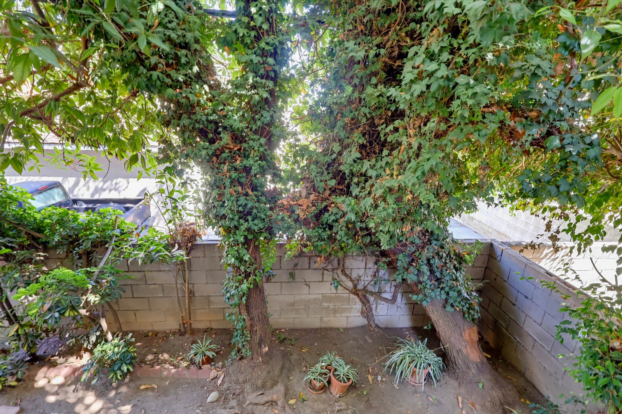 Virtual tour photo 35 of 54 for 11818 Courtleigh Dr Apt 104