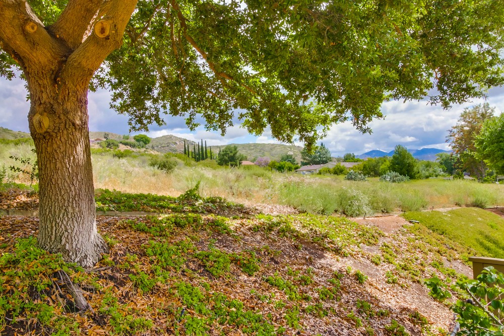 Virtual tour photo 54 of 54 for 11910 Springside Rd