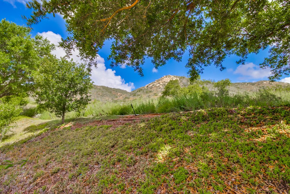 Virtual tour photo 55 of 54 for 11910 Springside Rd