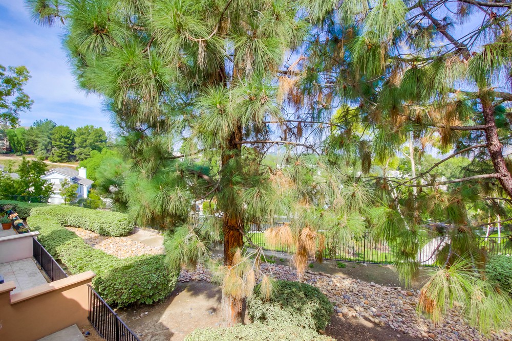 Virtual tour photo 35 of 50 for 11916 Tivoli Park Row UNIT 8