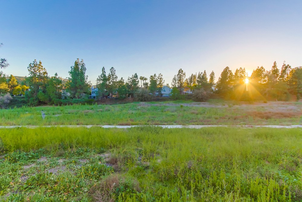 Virtual tour photo 65 of 66 for 11955 Tivoli Park Row