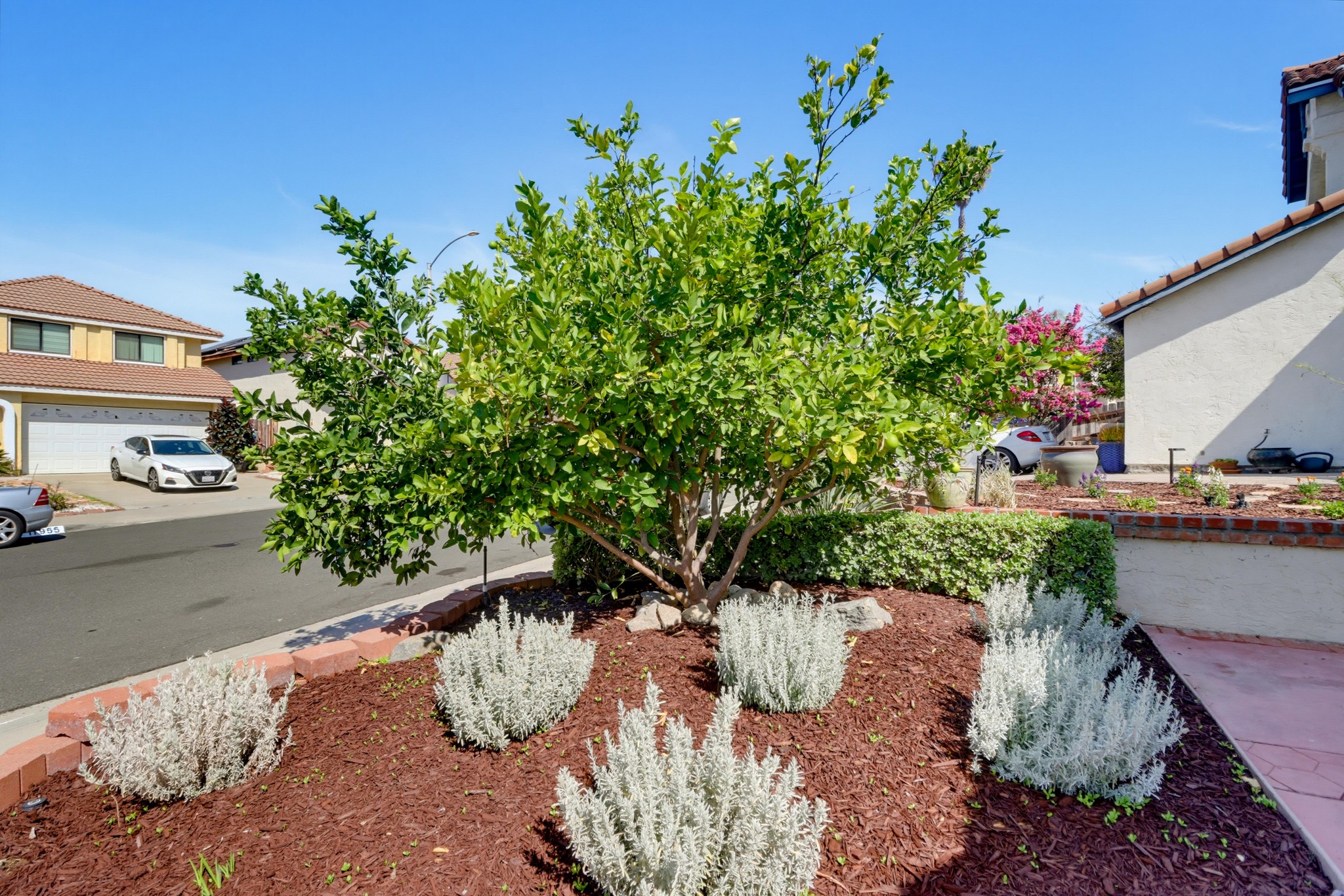 Virtual tour photo 5 of 55 for 11960 Calle Naranja