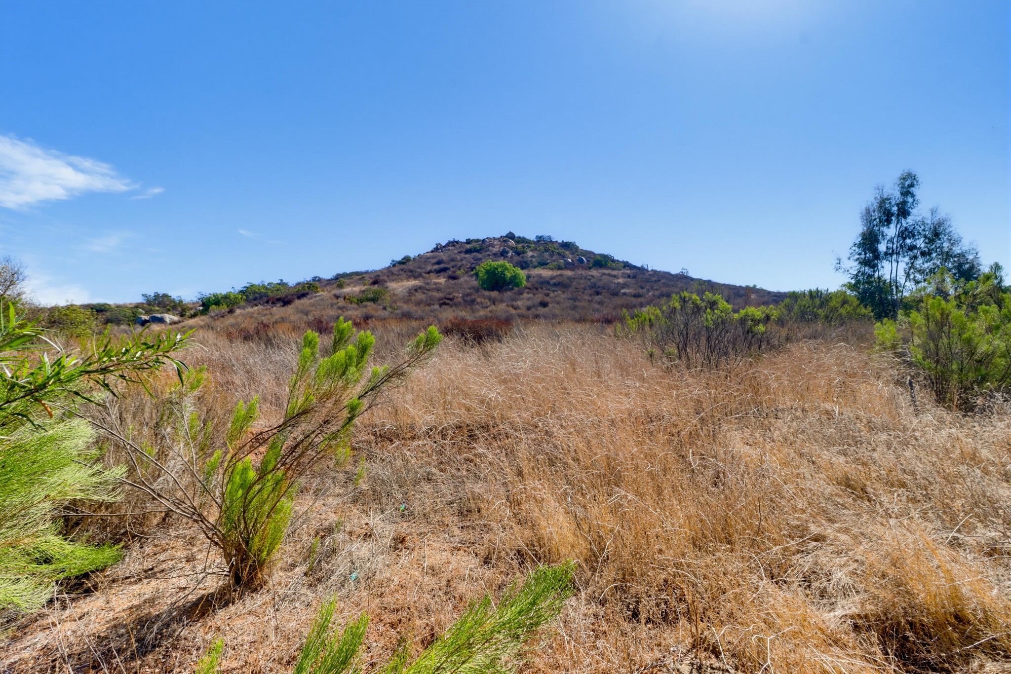 Virtual tour photo 48 of 55 for 11960 Calle Naranja