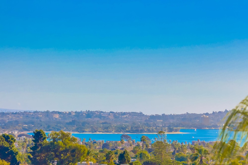 Virtual tour photo 55 of 56 for 1198 Van Nuys St