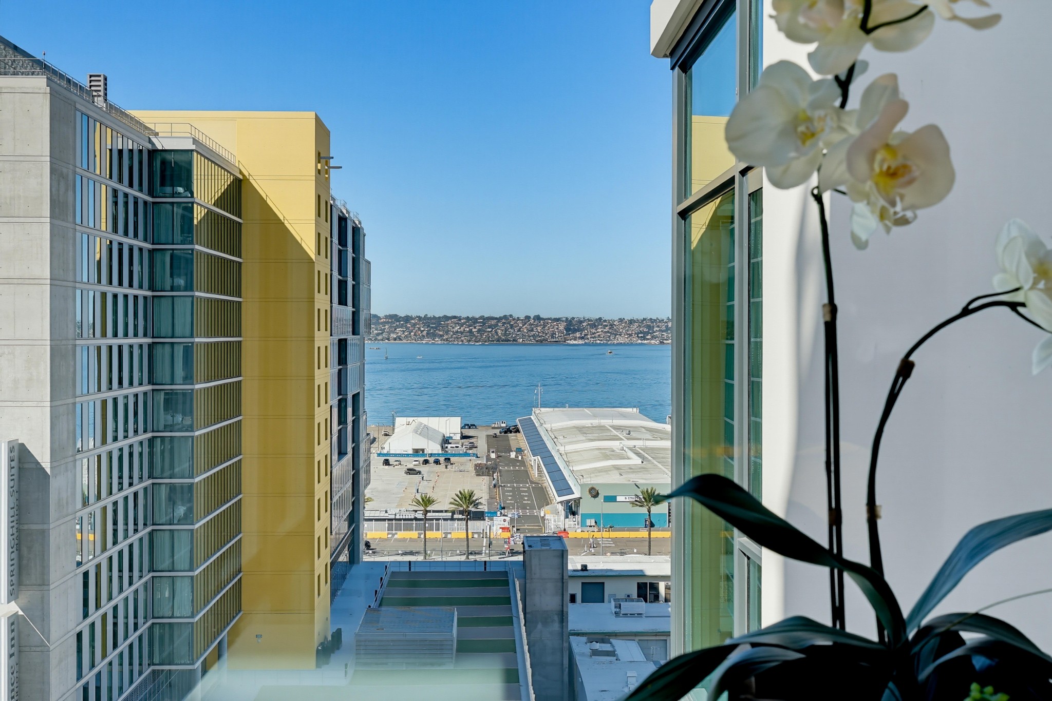 Virtual tour photo 58 of 105 for 1199 Pacific Hwy Unit 1305