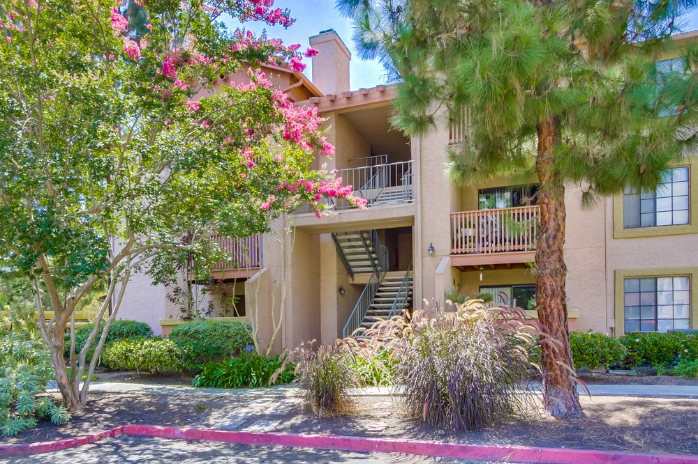 Virtual tour photo 3 of 20 for 12015 Alta Carmel Court #291