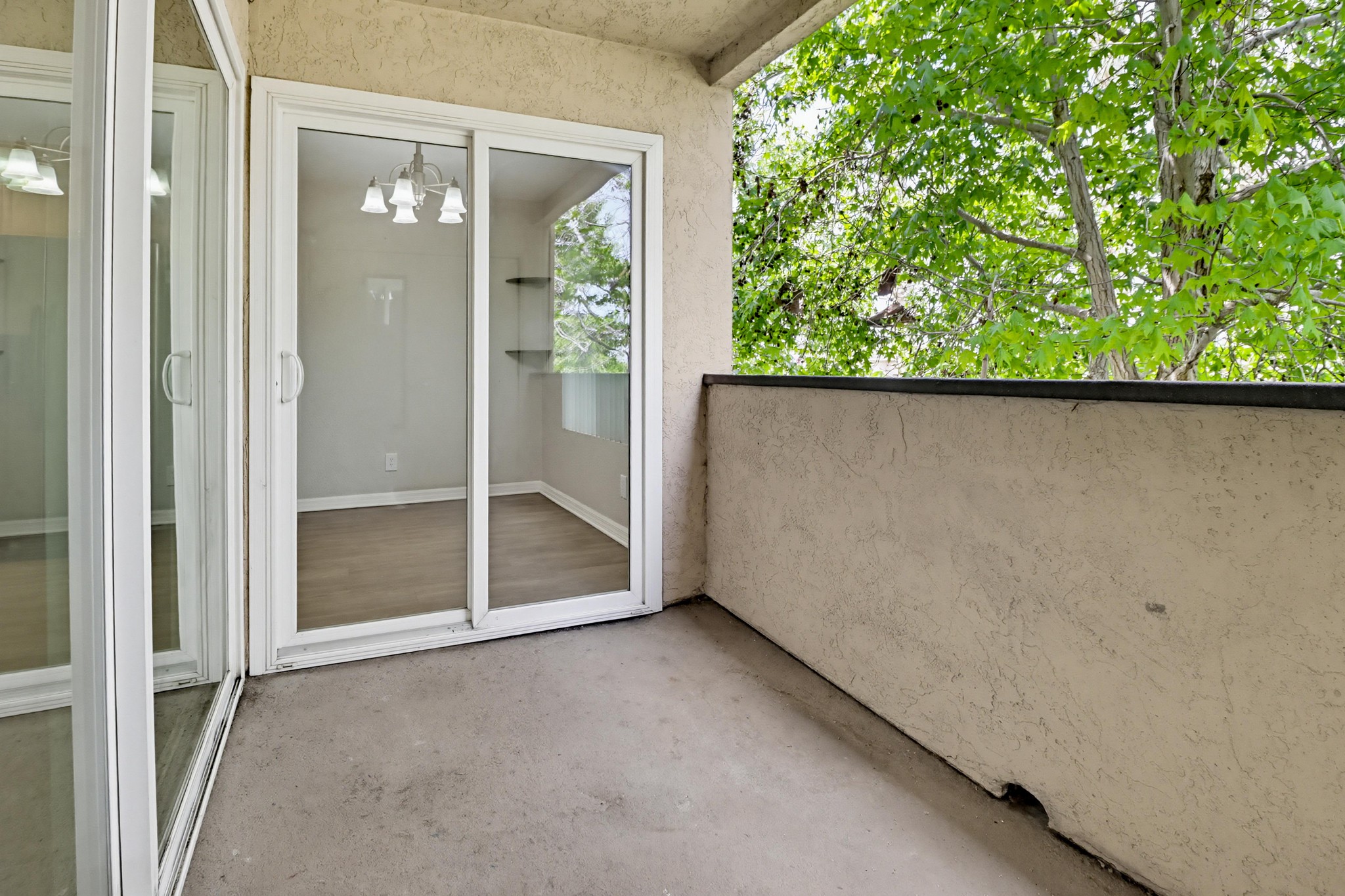 Virtual tour photo 20 of 29 for 1202 Donax Ave