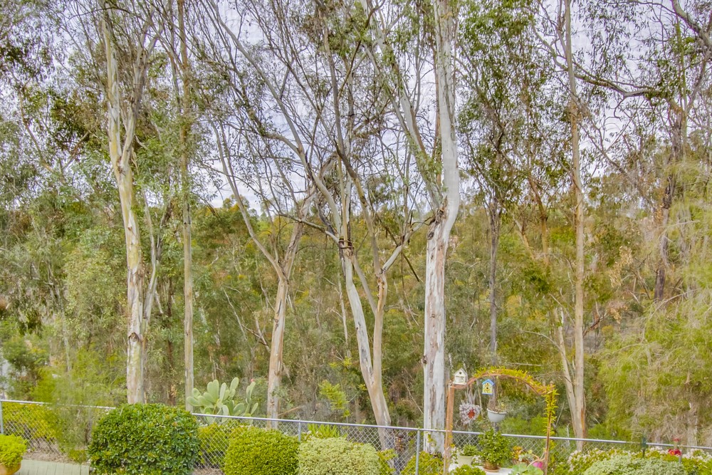 Virtual tour photo 74 of 73 for 12026 Medoc Ln