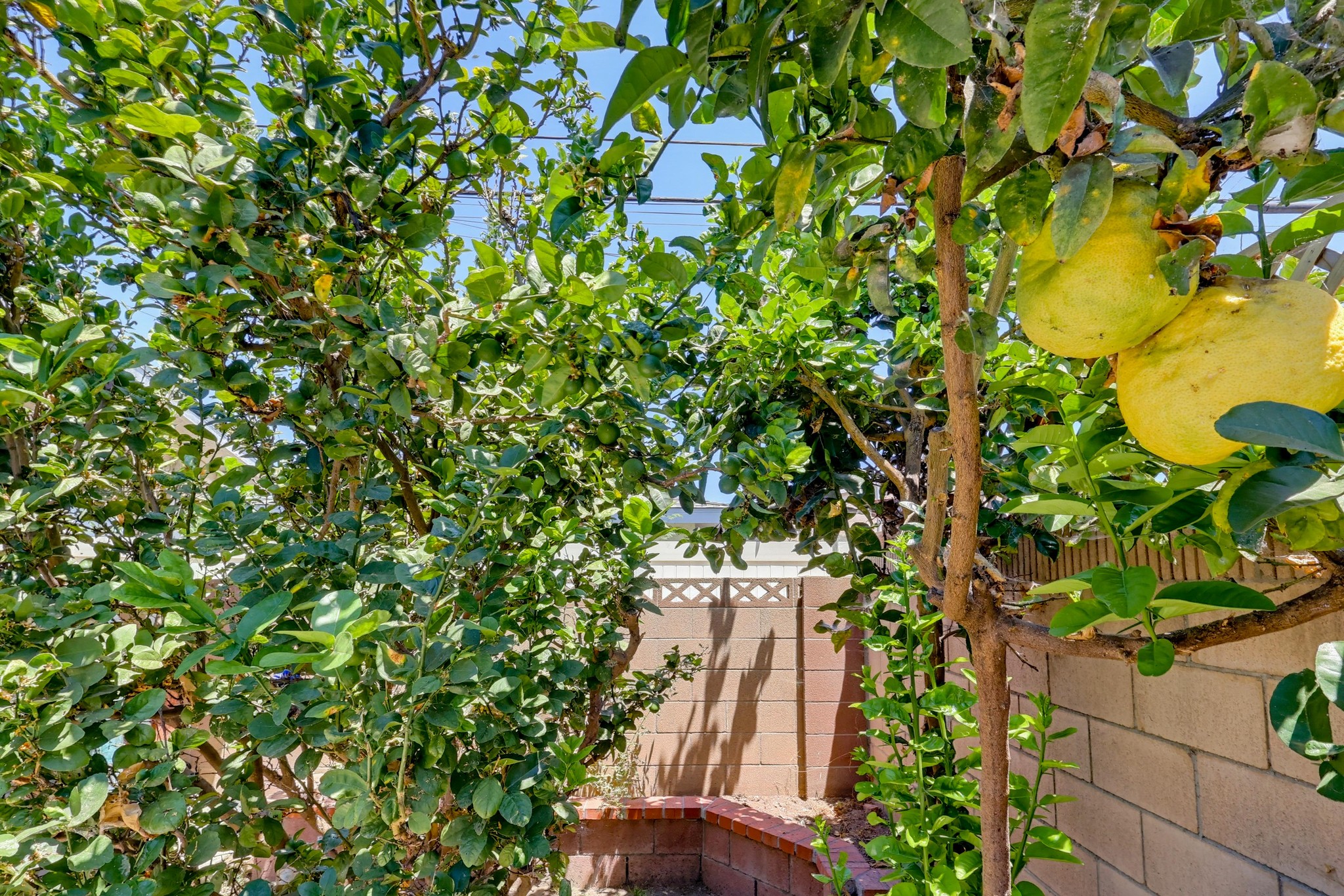 Virtual tour photo 51 of 53 for 12027 168th St