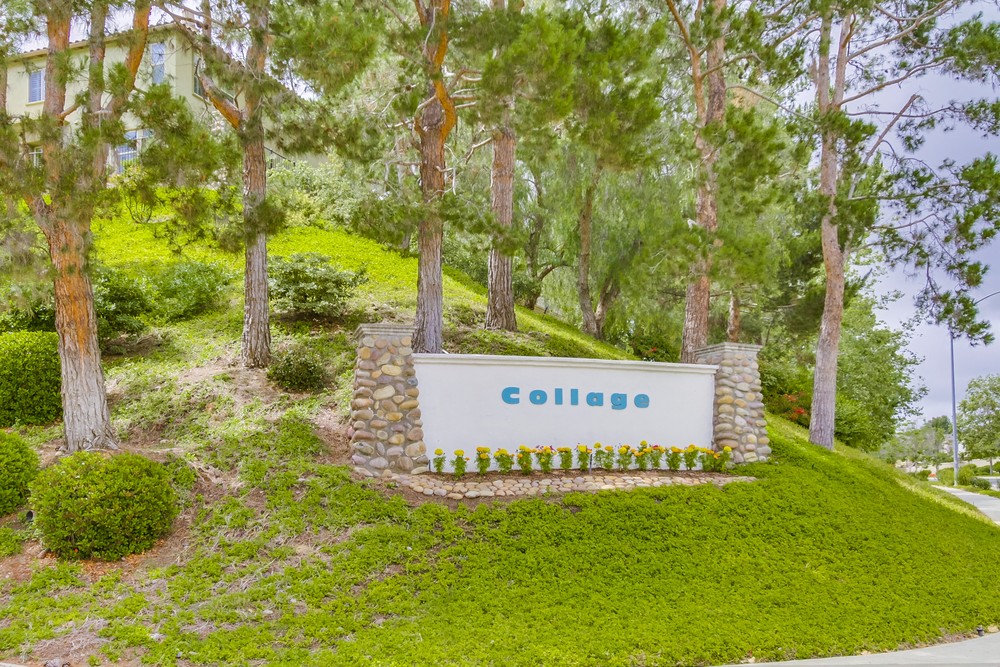 Virtual tour photo 33 of 32 for 12053 Tivoli Park Row, #6