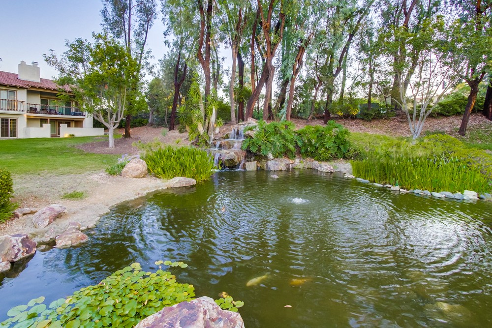 Virtual tour photo 52 of 54 for 12129 Caminito Campana