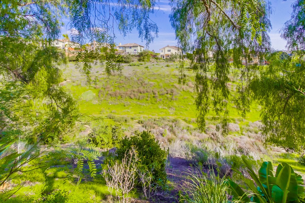 Virtual tour photo 79 of 80 for 12139 Celome Ln